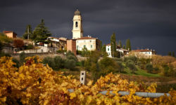 2016 MAY – Cesari