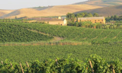 2015 OCT – Donnafugata