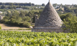 2017 JUL – Puglia Region