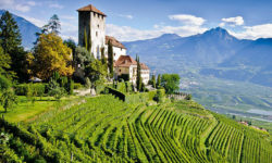 2016 AUG – Alto Adige