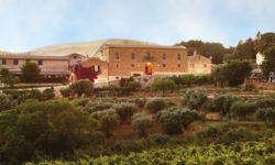 2019 OCT Tasca d’Almerita Winery