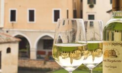 07-20-2020 Wine Tasting Santa Margherita