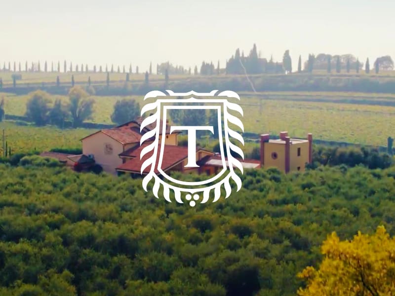 Tinazzi Estate Wines of the Veneto