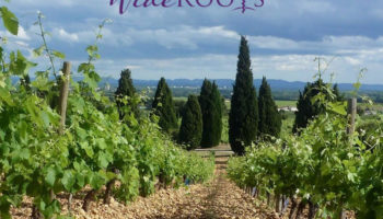 FREE Friday Wine Testing 07-25