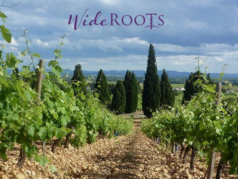FREE Friday Wine Testing 07-25