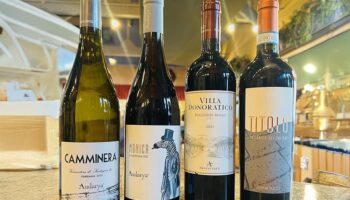 FREE Friday Wine Testing 11-04-25 5:00pm