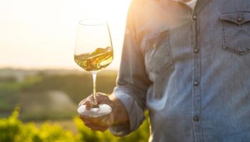 03-13-26 Special FREE Friday Wine Tasting 5:00pm