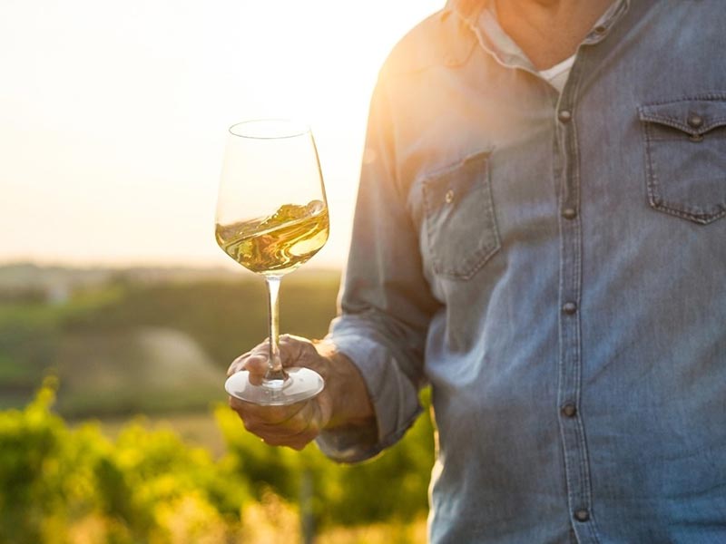 03-13-26 Special FREE Friday Wine Tasting 5:00pm